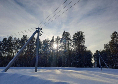 Незаконная ЛЭП в томском заказнике: «Россети» умывают руки?
